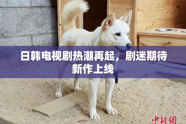 日韩电视剧热潮再起，剧迷期待新作上线