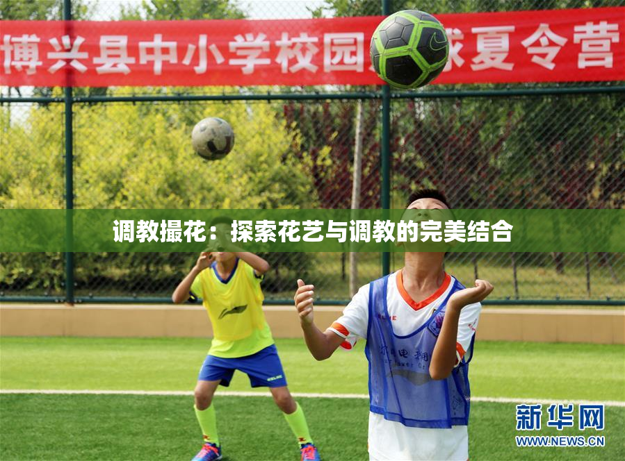 调教撮花：探索花艺与调教的完美结合