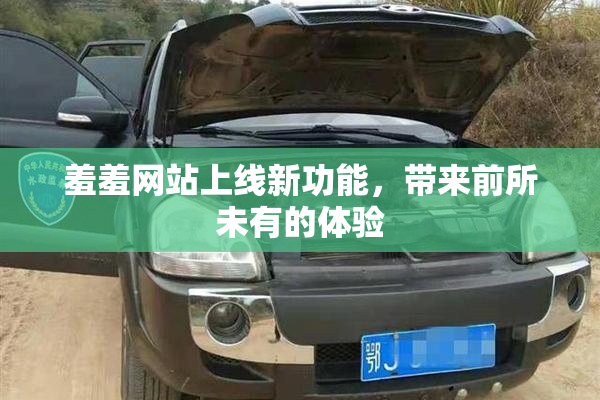 羞羞网站上线新功能，带来前所未有的体验
