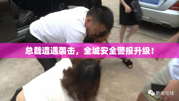 总裁遭遇袭击，全城安全警报升级！