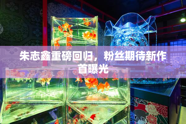 朱志鑫重磅回归，粉丝期待新作首曝光