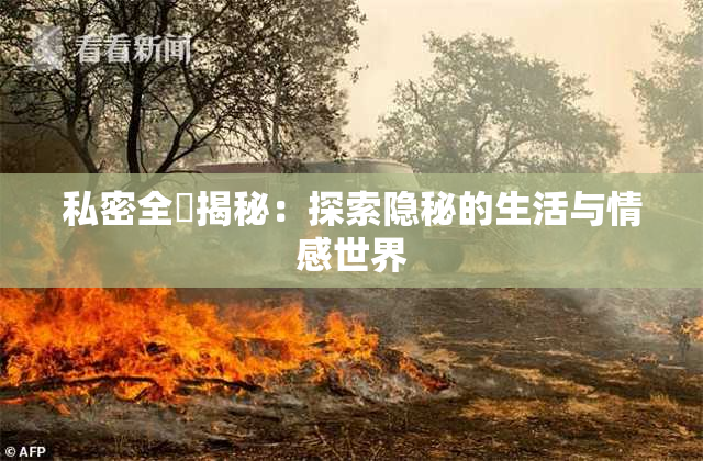 私密全婐揭秘：探索隐秘的生活与情感世界
