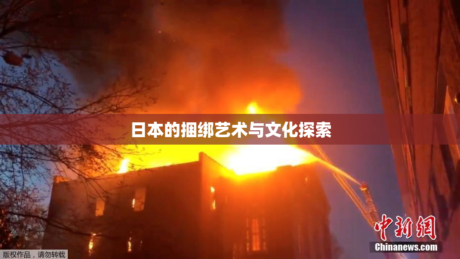 日本的捆绑艺术与文化探索
