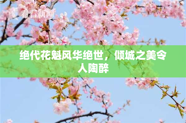 绝代花魁风华绝世，倾城之美令人陶醉