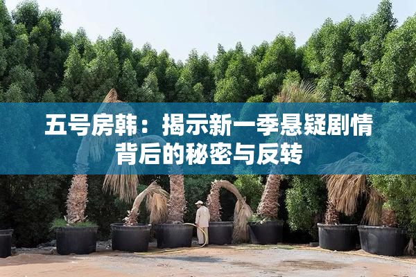 五号房韩：揭示新一季悬疑剧情背后的秘密与反转