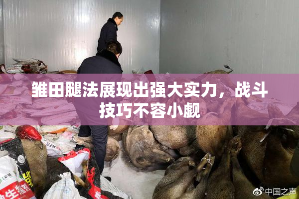 雏田腿法展现出强大实力，战斗技巧不容小觑