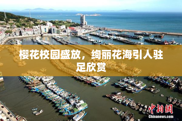 樱花校园盛放，绚丽花海引人驻足欣赏