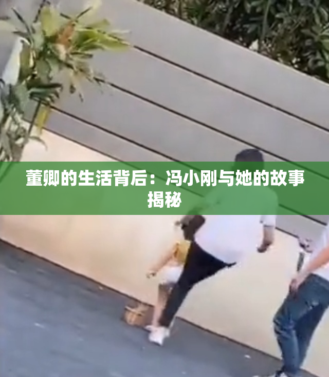 董卿的生活背后：冯小刚与她的故事揭秘
