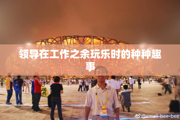领导在工作之余玩乐时的种种趣事