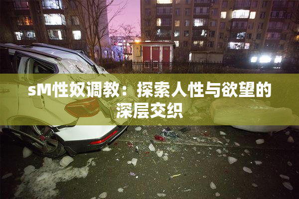 sM性奴调教：探索人性与欲望的深层交织