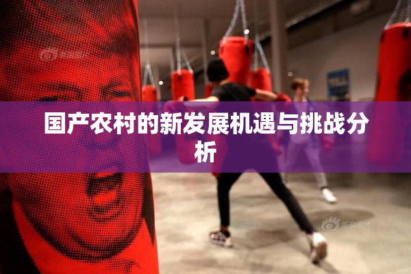 国产农村的新发展机遇与挑战分析