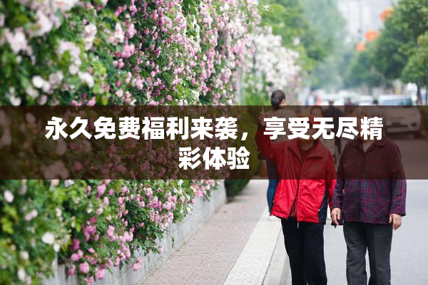 永久免费福利来袭，享受无尽精彩体验