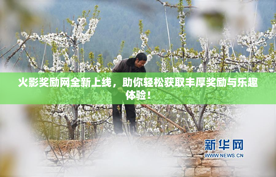 火影奖励网全新上线，助你轻松获取丰厚奖励与乐趣体验！