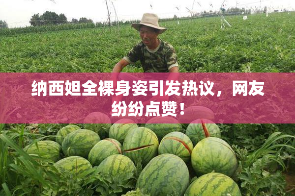 纳西妲全裸身姿引发热议，网友纷纷点赞！