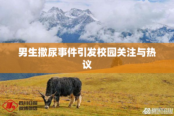 男生撒尿事件引发校园关注与热议