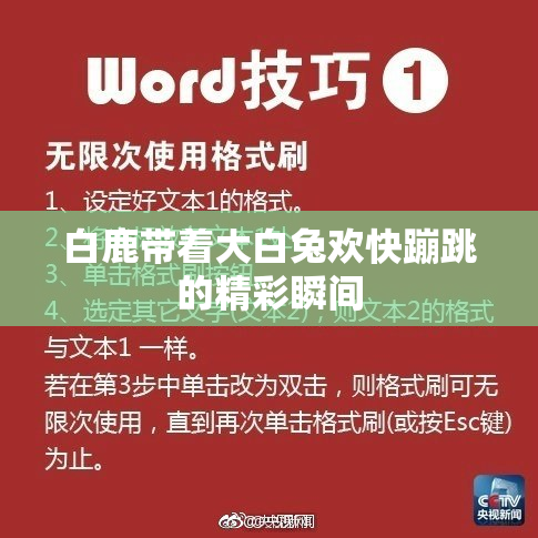 白鹿带着大白兔欢快蹦跳的精彩瞬间