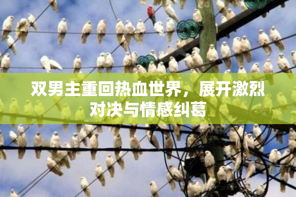 双男主重回热血世界，展开激烈对决与情感纠葛