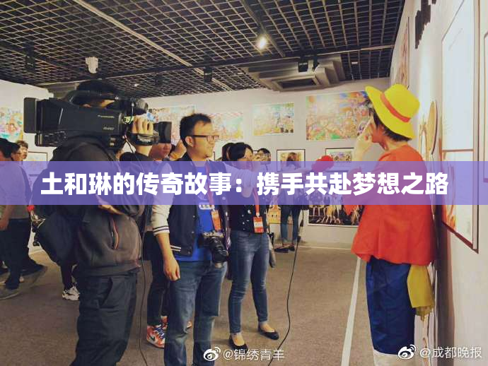 土和琳的传奇故事：携手共赴梦想之路