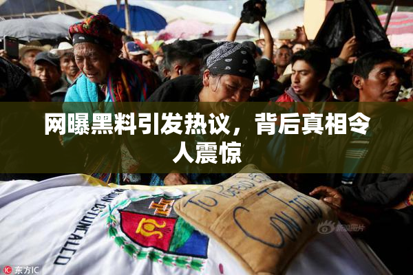 网曝黑料引发热议，背后真相令人震惊
