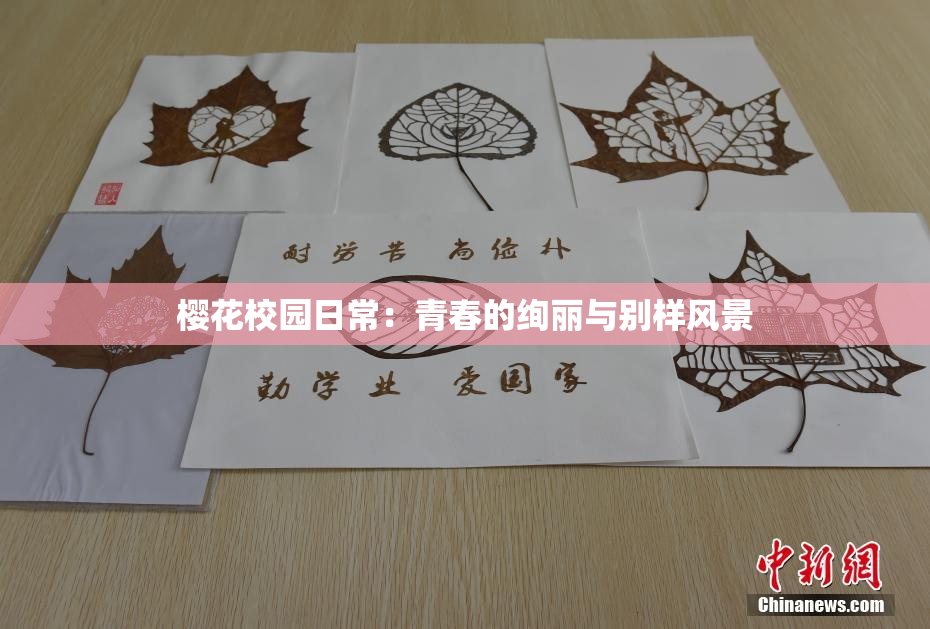 樱花校园日常：青春的绚丽与别样风景