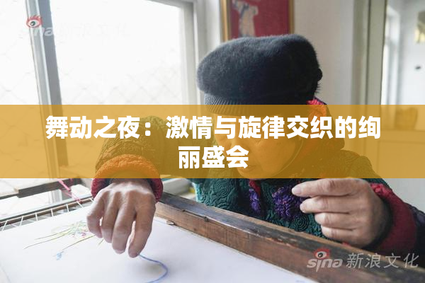 舞动之夜：激情与旋律交织的绚丽盛会