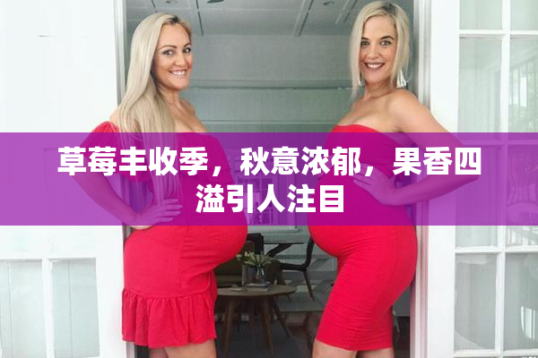 草莓丰收季，秋意浓郁，果香四溢引人注目