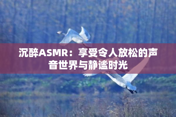 沉醉ASMR：享受令人放松的声音世界与静谧时光