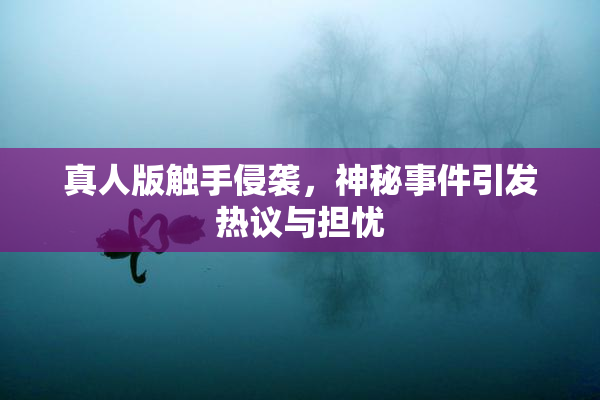 真人版触手侵袭，神秘事件引发热议与担忧