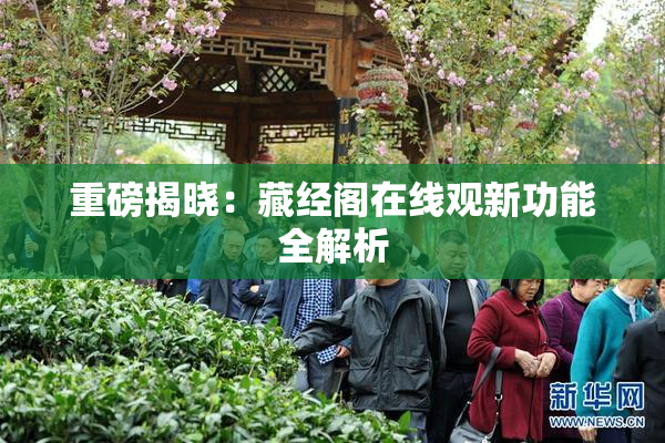 重磅揭晓：藏经阁在线观新功能全解析