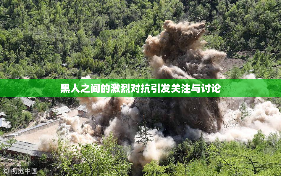 黑人之间的激烈对抗引发关注与讨论