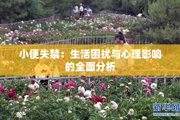 小便失禁：生活困扰与心理影响的全面分析