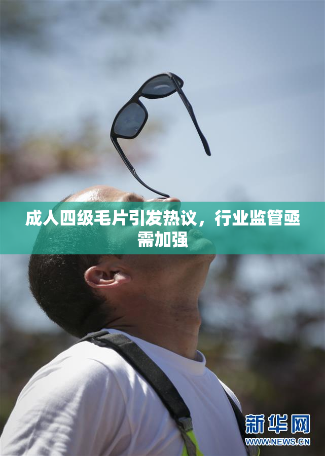 成人四级毛片引发热议，行业监管亟需加强
