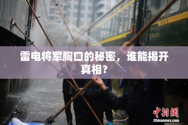 雷电将军胸口的秘密，谁能揭开真相？