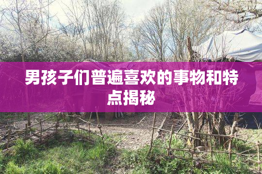 男孩子们普遍喜欢的事物和特点揭秘
