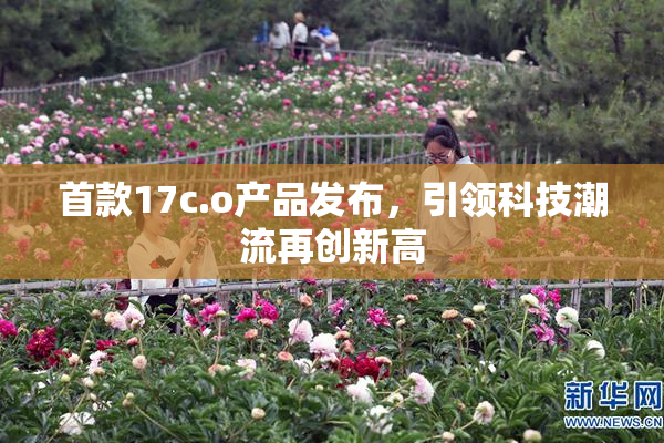 首款17c.o产品发布，引领科技潮流再创新高