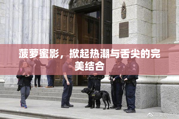 菠萝蜜影，掀起热潮与舌尖的完美结合