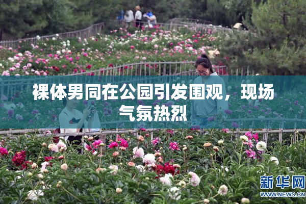 裸体男同在公园引发围观，现场气氛热烈