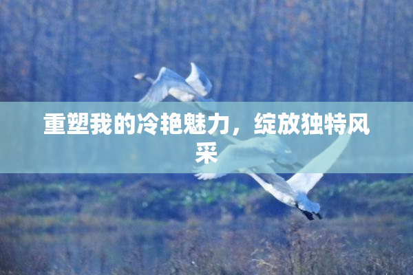 重塑我的冷艳魅力，绽放独特风采