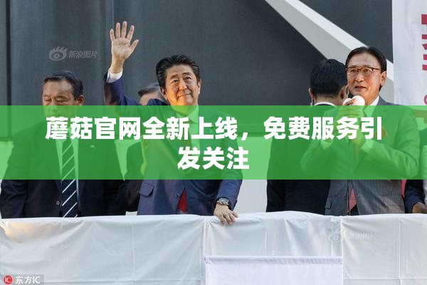 蘑菇官网全新上线，免费服务引发关注