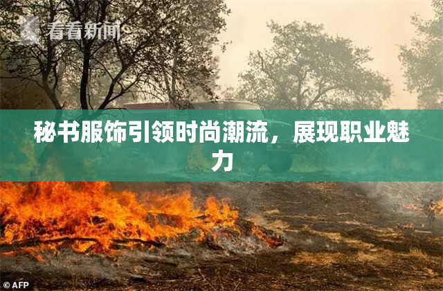 秘书服饰引领时尚潮流，展现职业魅力