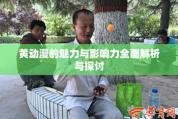 黄动漫的魅力与影响力全面解析与探讨