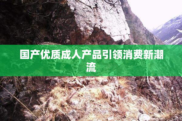 国产优质成人产品引领消费新潮流