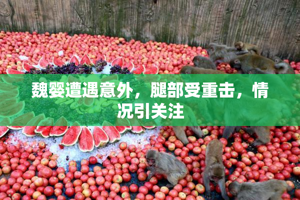 魏婴遭遇意外，腿部受重击，情况引关注