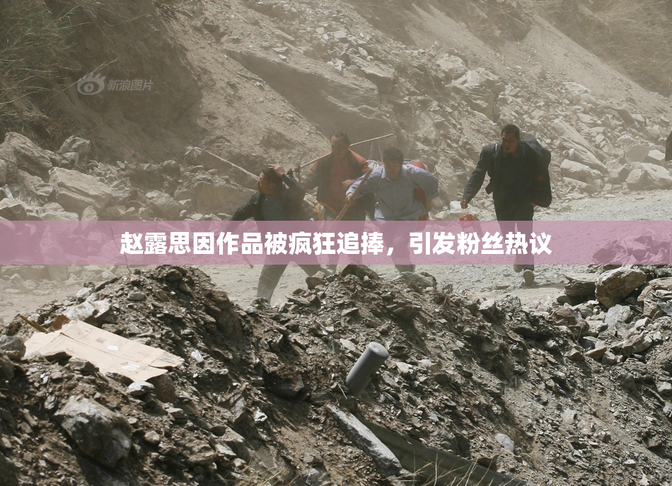 赵露思因作品被疯狂追捧，引发粉丝热议
