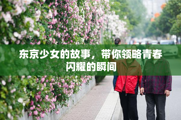东京少女的故事，带你领略青春闪耀的瞬间