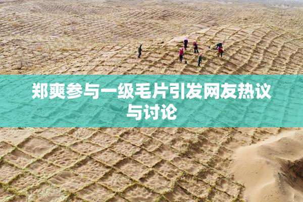 郑爽参与一级毛片引发网友热议与讨论