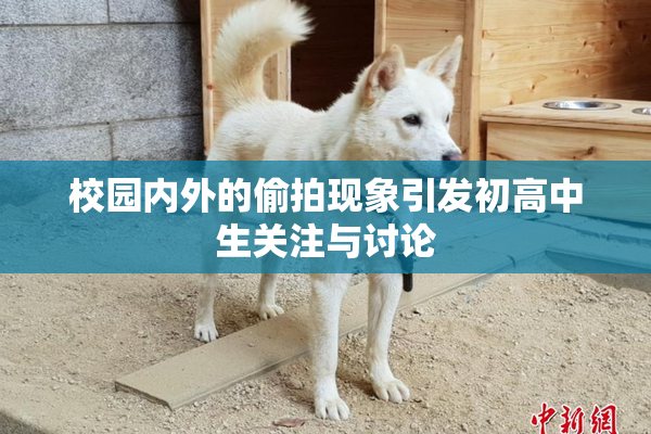 校园内外的偷拍现象引发初高中生关注与讨论