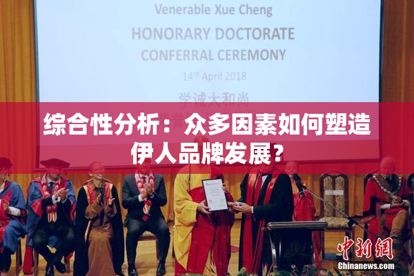 综合性分析：众多因素如何塑造伊人品牌发展？