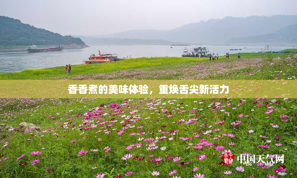 香香煮的美味体验，重焕舌尖新活力