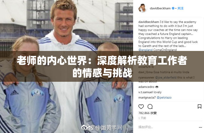 老师的内心世界：深度解析教育工作者的情感与挑战